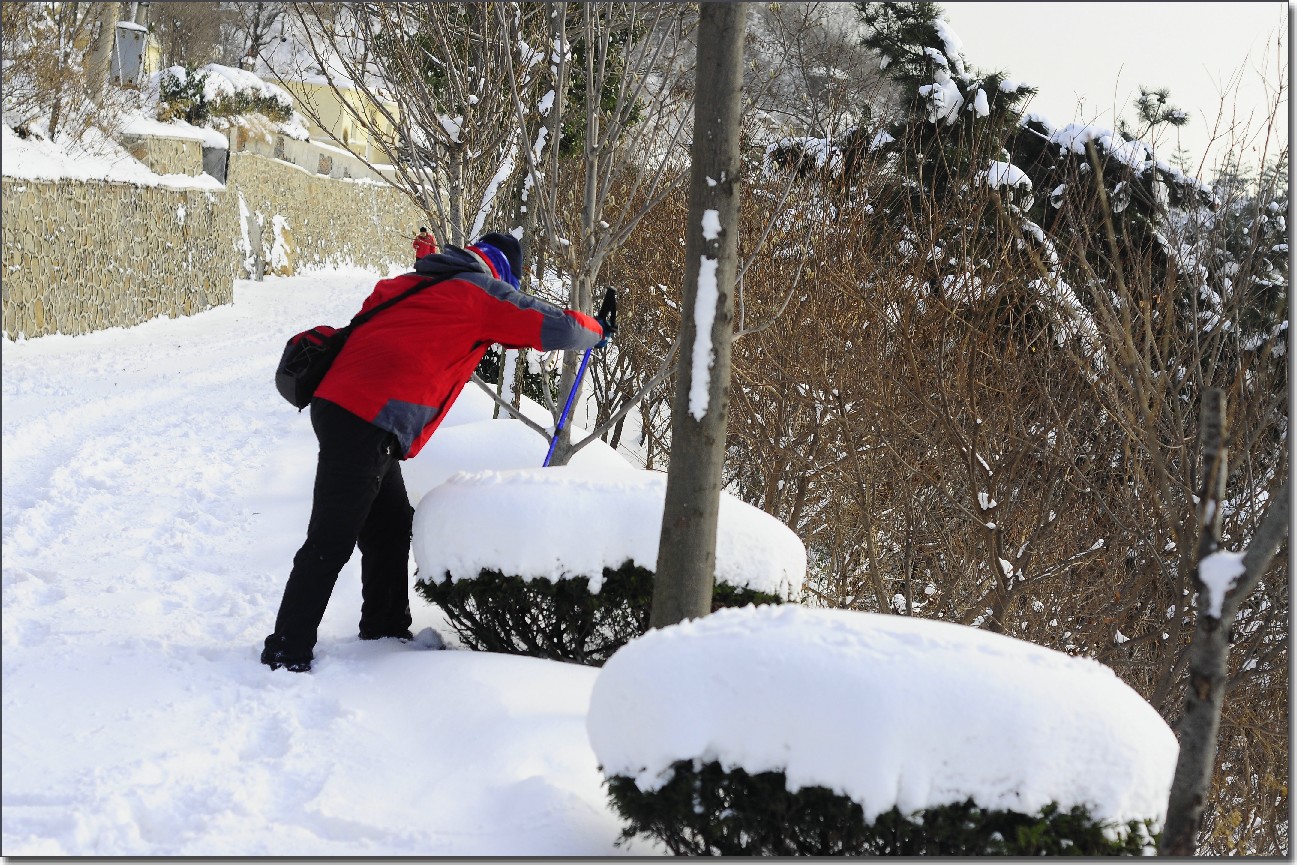 踏雪南山 (216).jpg