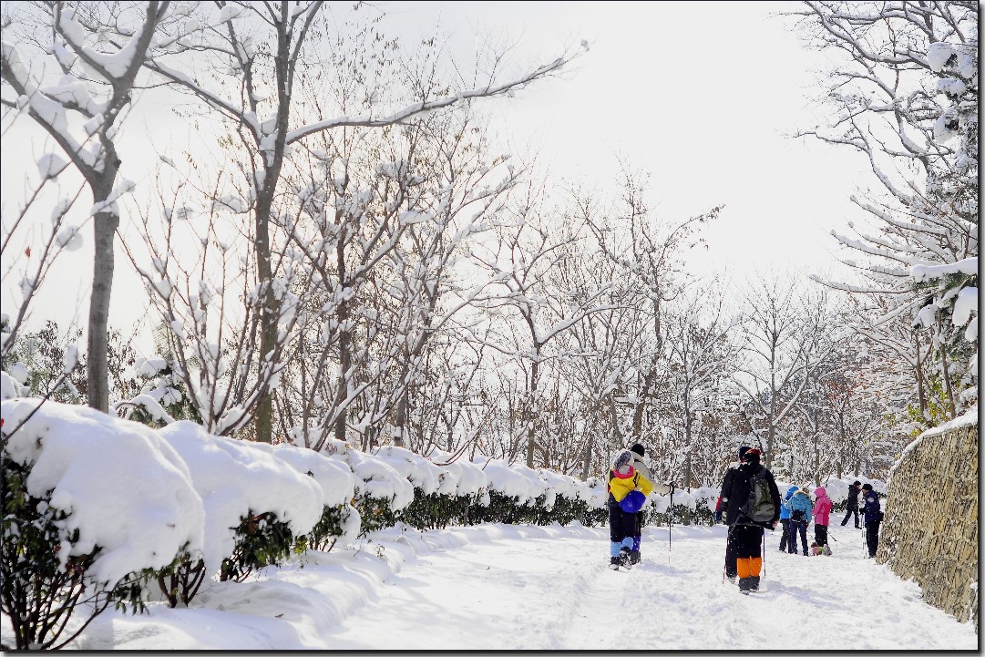 踏雪南山 (276).jpg