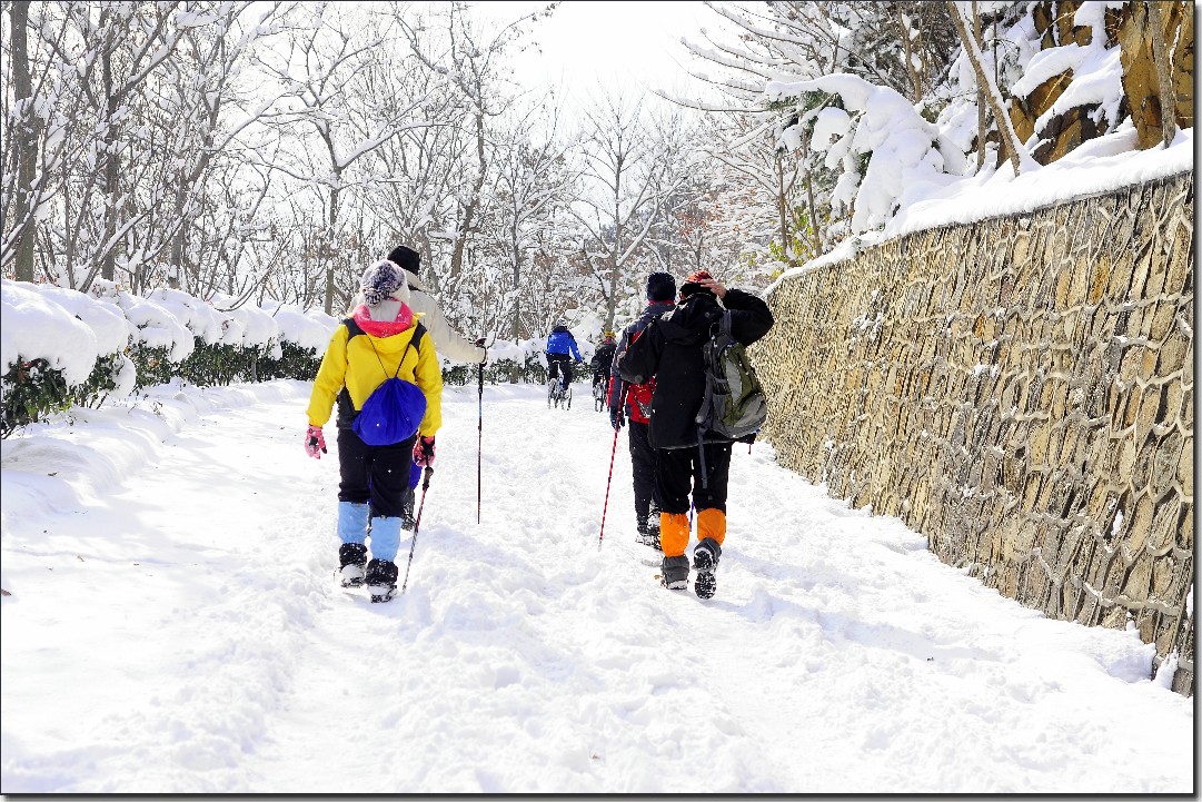 踏雪南山 (279).jpg