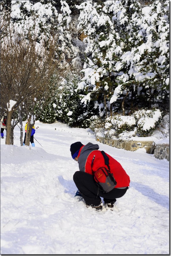 踏雪南山 (238).jpg