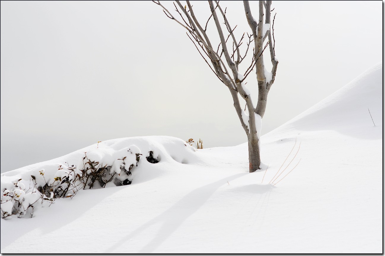 踏雪南山 (147).jpg