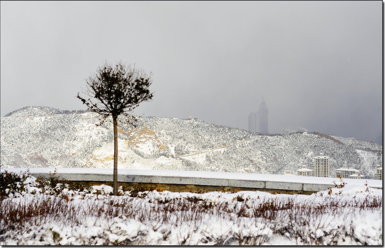 踏雪南山 (139).jpg