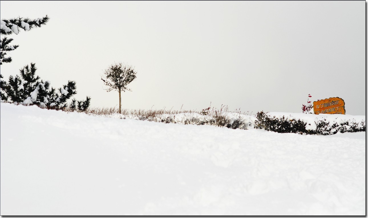 踏雪南山 (141).jpg