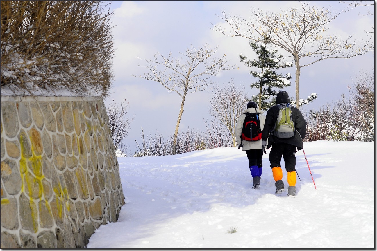 踏雪南山 (361).jpg