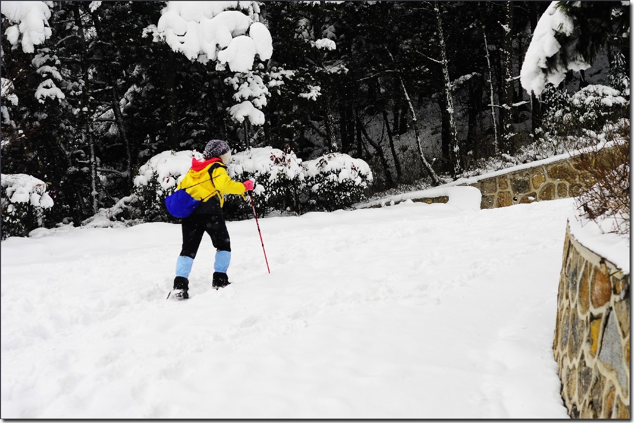 踏雪南山 (134).jpg