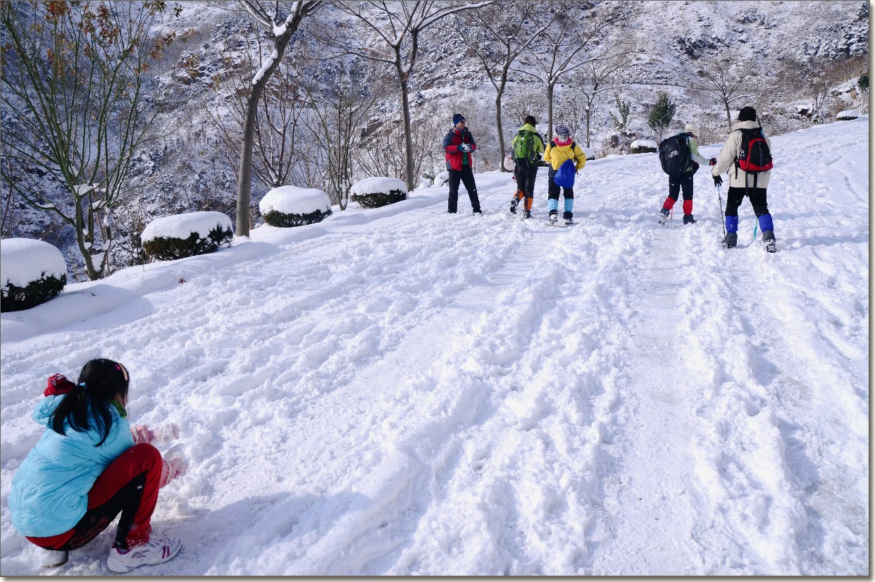 雪意南山 (11).JPG