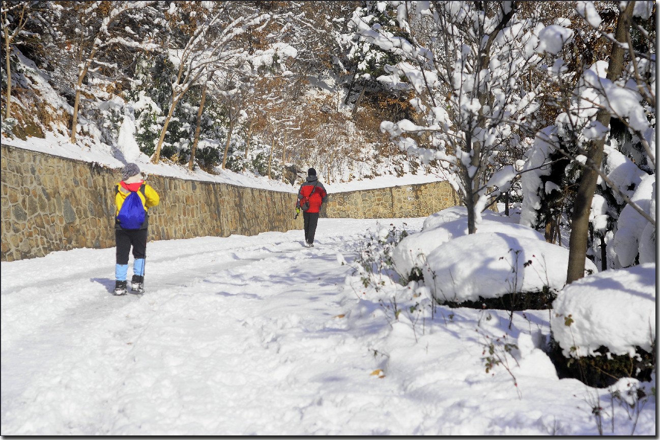 踏雪南山 (328).jpg