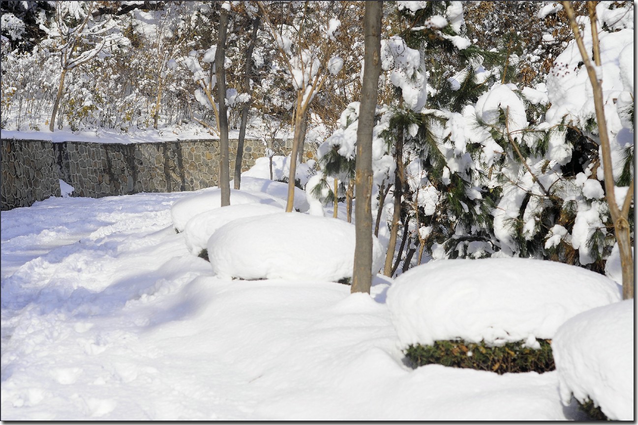 踏雪南山 (332).jpg