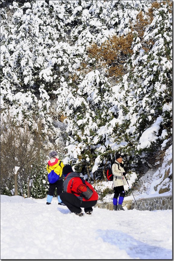 踏雪南山 (242).jpg