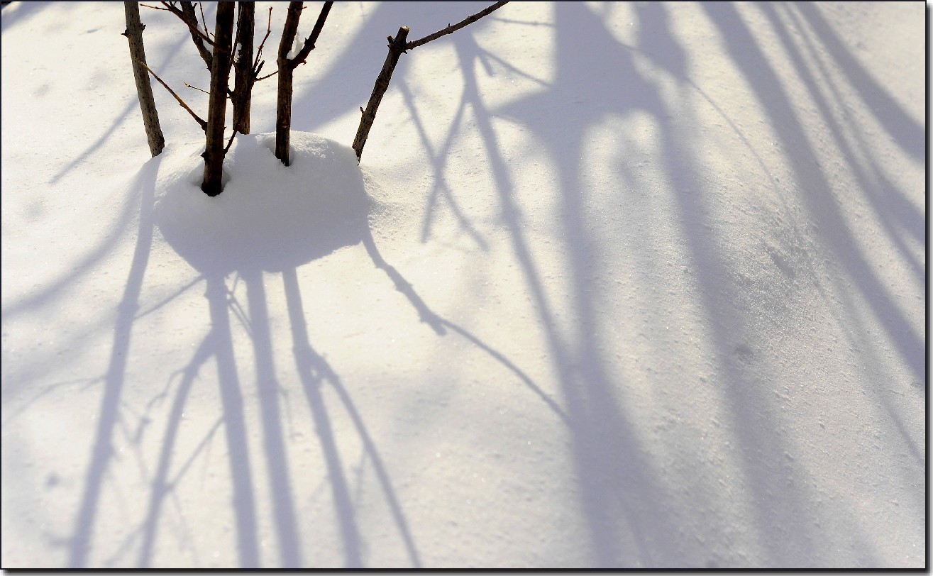 踏雪南山 (210).jpg