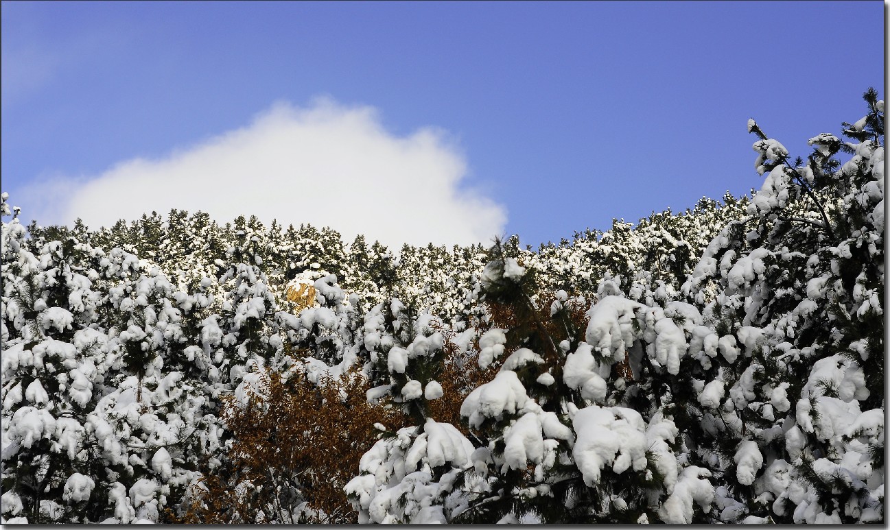 踏雪南山 (253).jpg