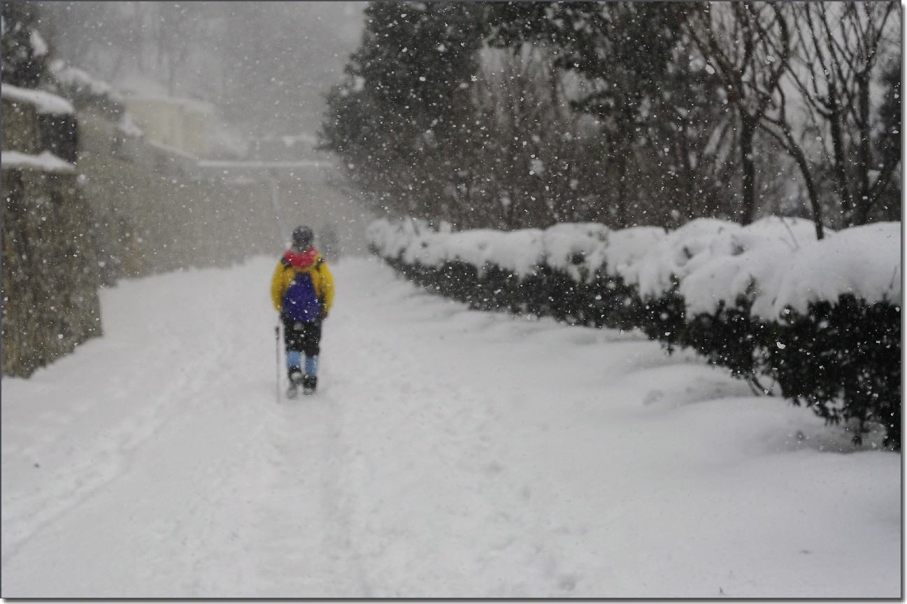 踏雪南山 (348).jpg