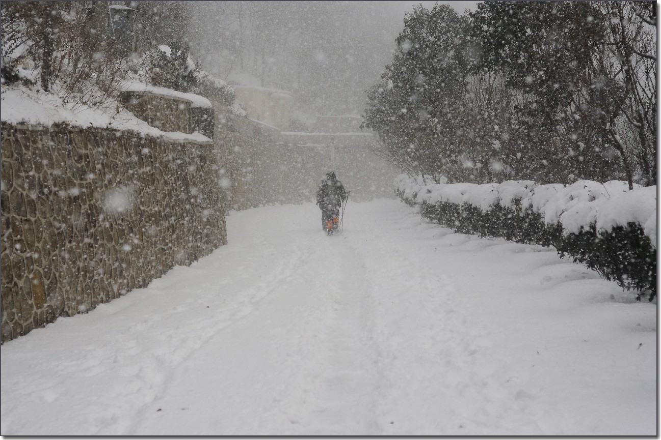 踏雪南山 (336).jpg