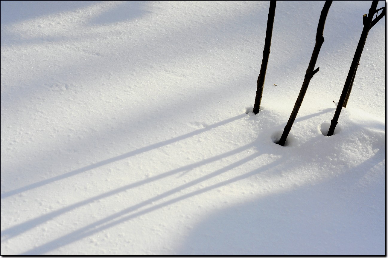 踏雪南山 (200).jpg