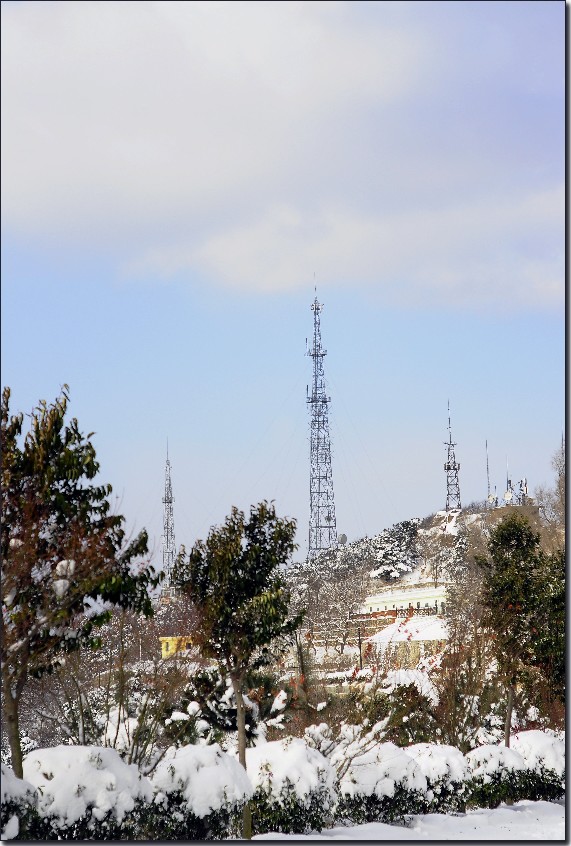 踏雪南山 (223).jpg