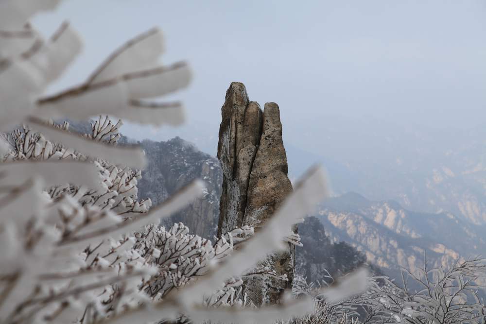 孔雀石-泰礴顶 253.jpg