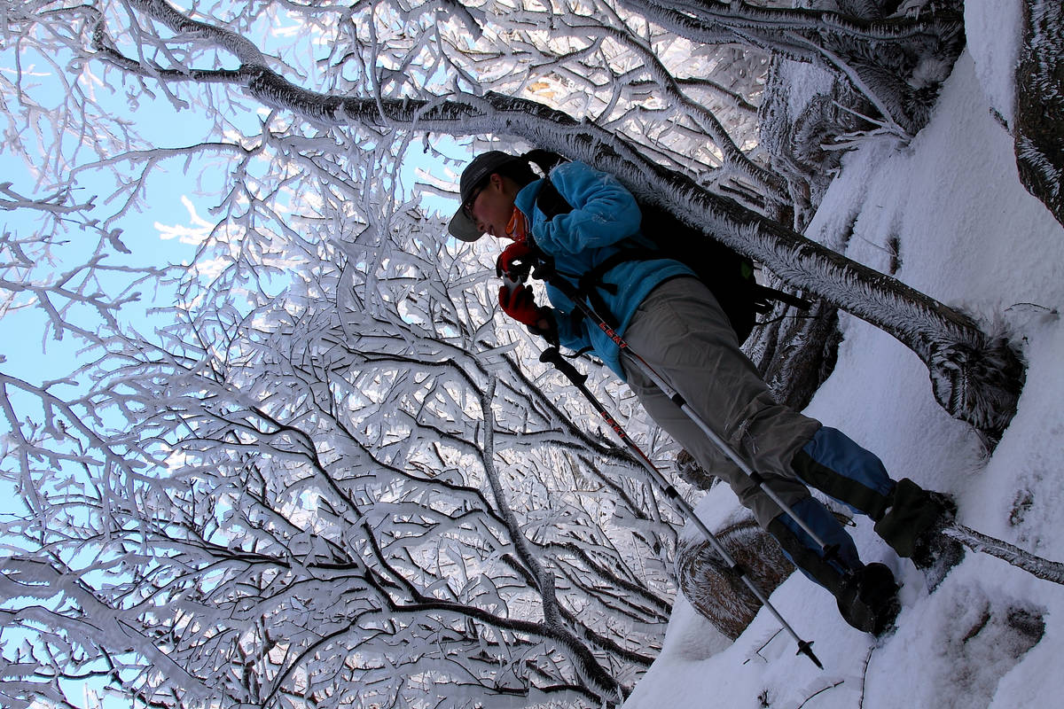IMG_2664.jpg