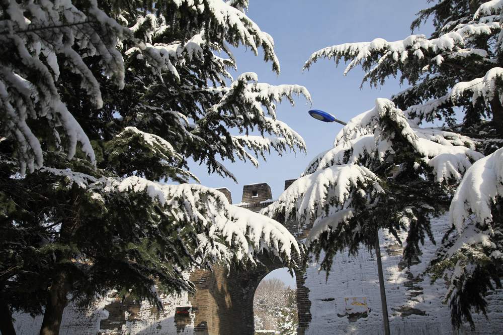雪景--西炮台 225.jpg