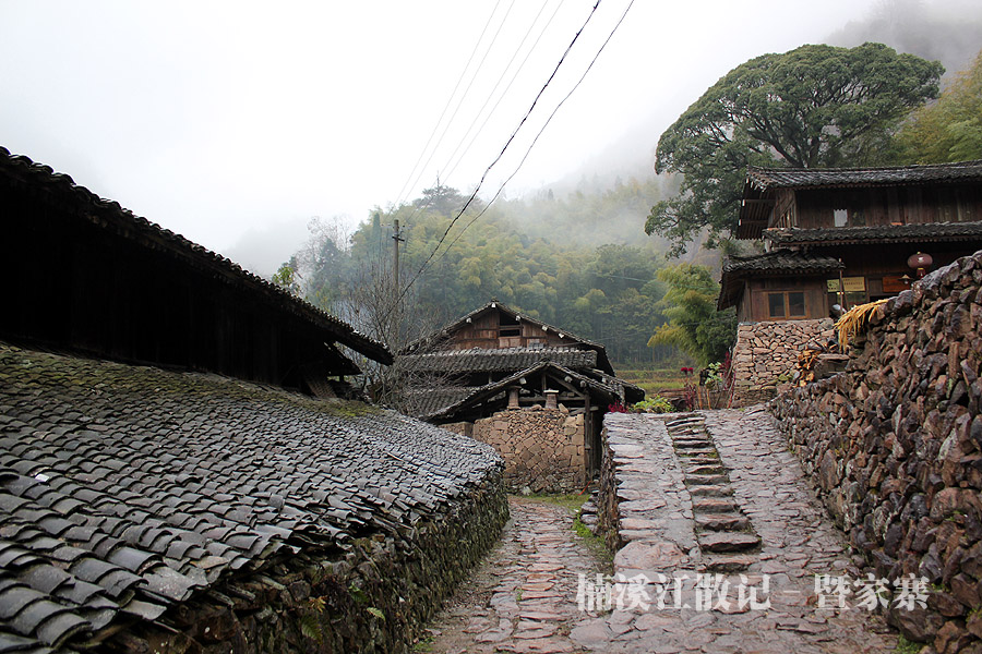 IMG_5611 拷贝.jpg