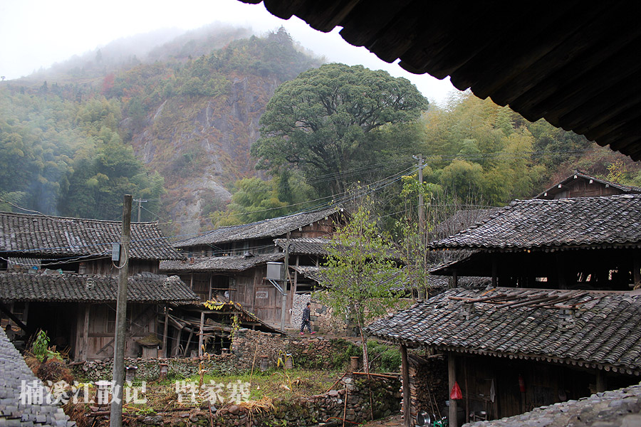 IMG_5626 拷贝.jpg