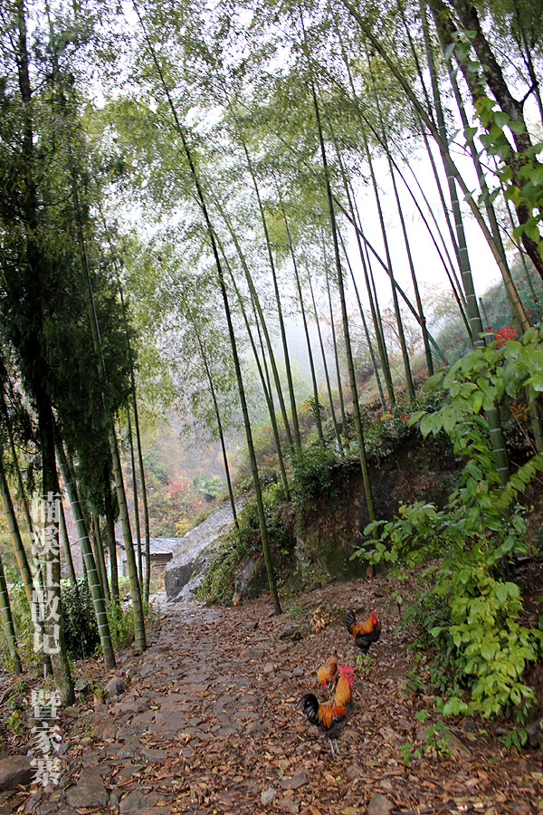 IMG_5439 拷贝.jpg