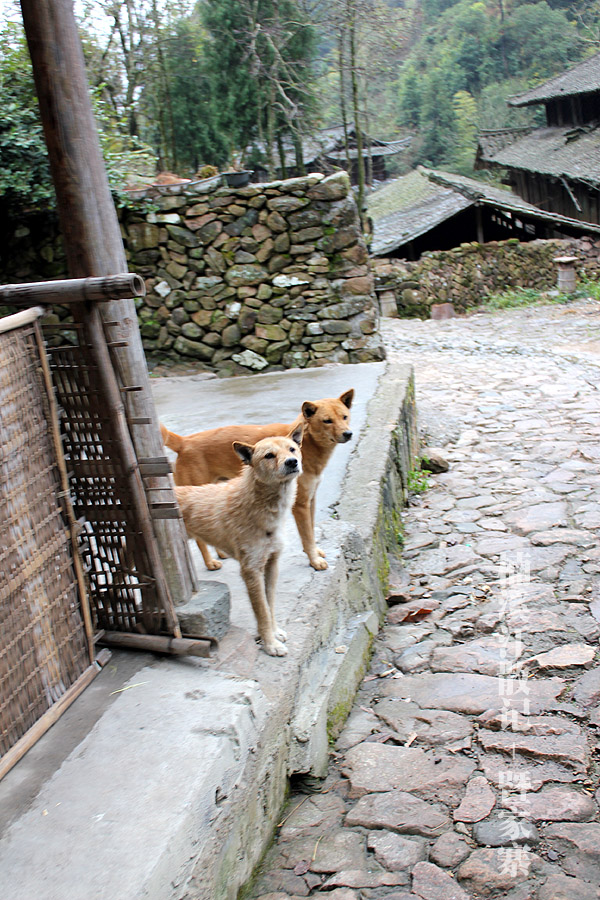 IMG_5802 拷贝.jpg