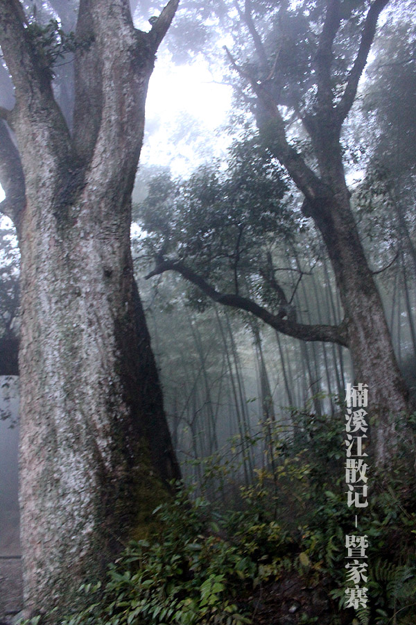 IMG_5576 拷贝.jpg