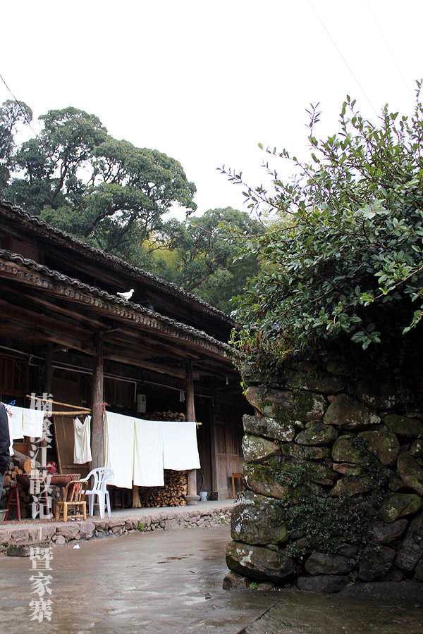 IMG_5842 拷贝.jpg