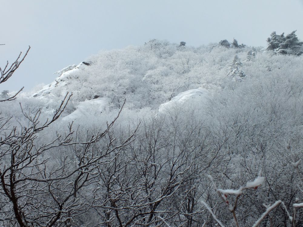 DSCF9179.JPG