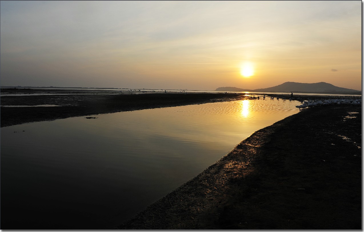 天鹅情 (126).jpg