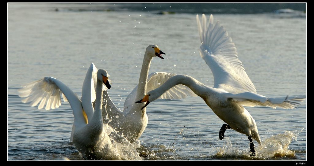 DSC_3621.jpg