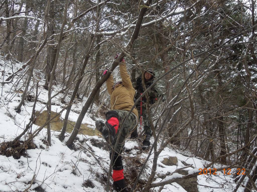 DSCN5874.jpg