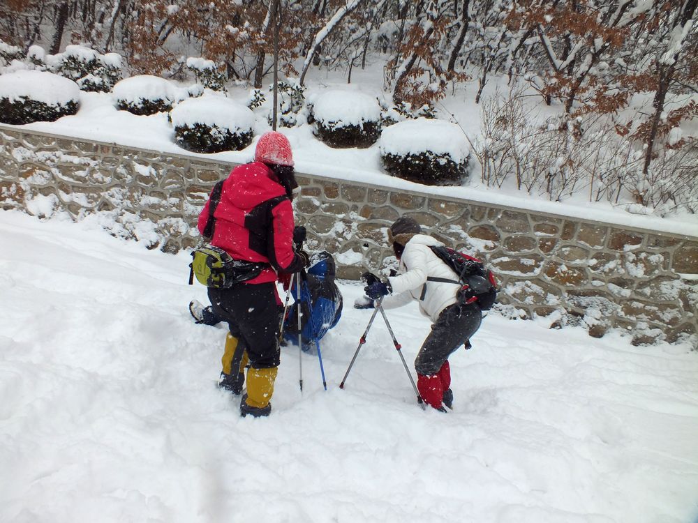 DSCF9336.JPG