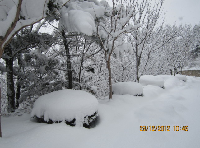 QQ截图20121223222157.png