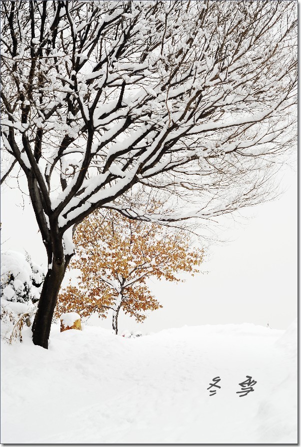 2012然后 (434)_conew1.jpg