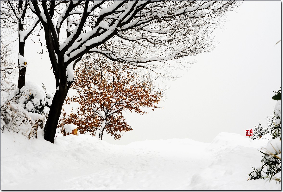 2012然后 (435).jpg