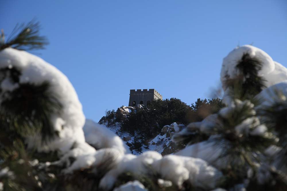 雪后独上大南山 113.jpg
