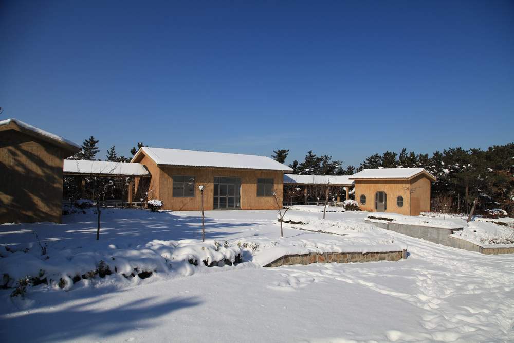 雪后独上大南山 177.jpg