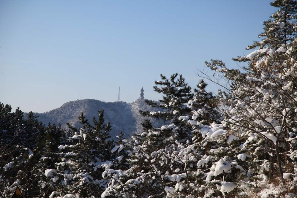 雪后独上大南山 026.jpg