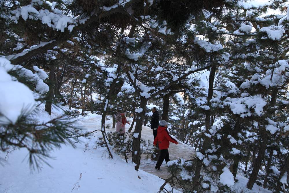 雪后独上大南山 006.jpg