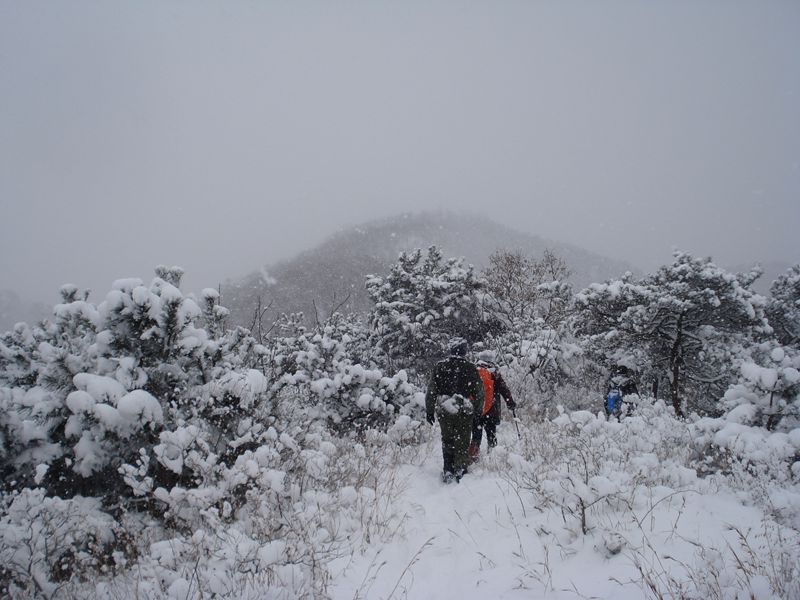 DSC05825.jpg