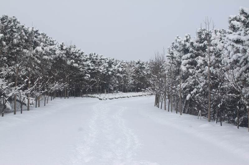 调整大小 IMG_7297.JPG