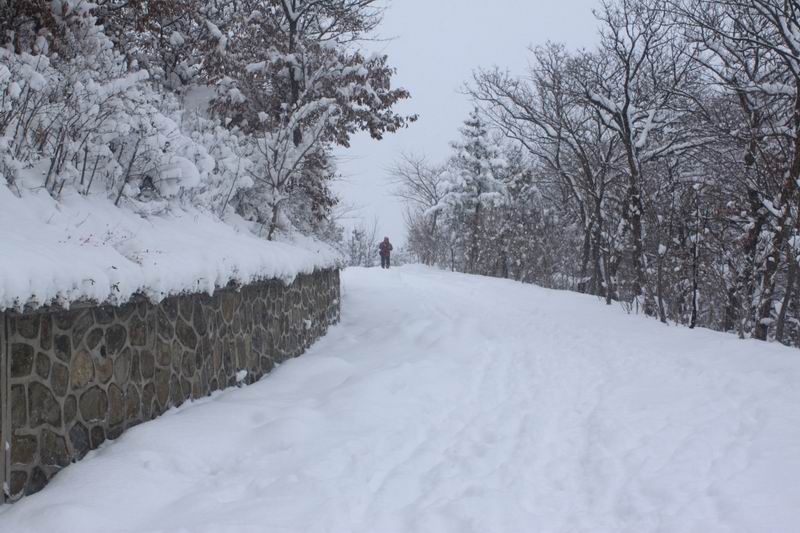 调整大小 IMG_7457.JPG