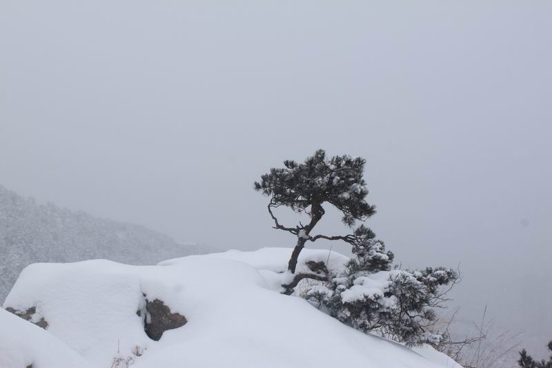 调整大小 IMG_7471.JPG