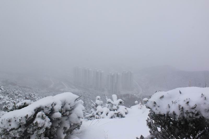 调整大小 IMG_7467.JPG