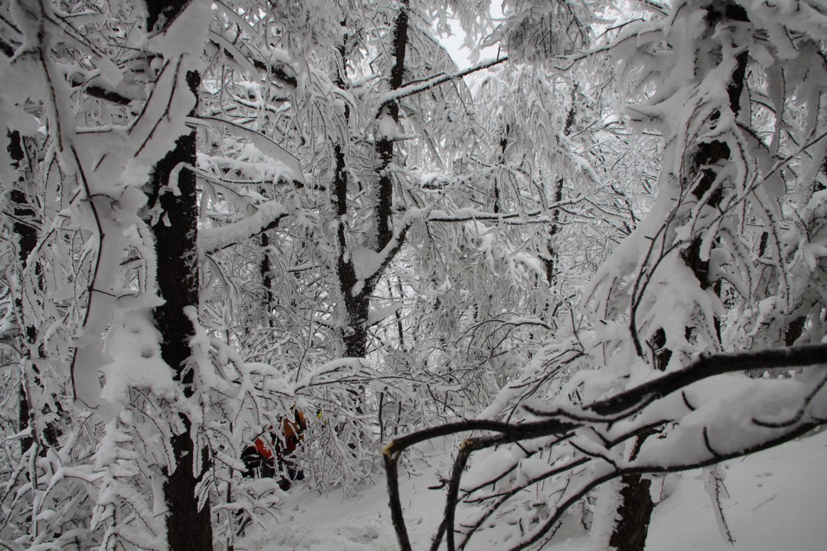 IMG_4875.jpg