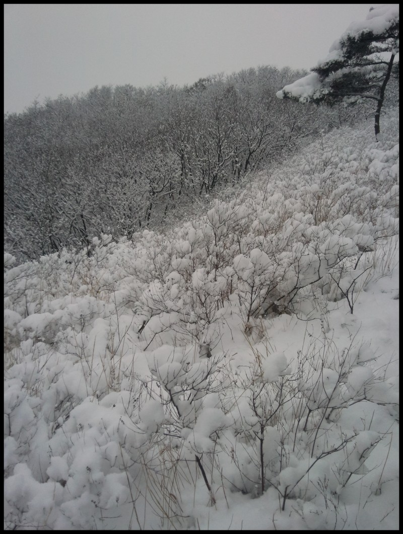 conew_照片491.jpg