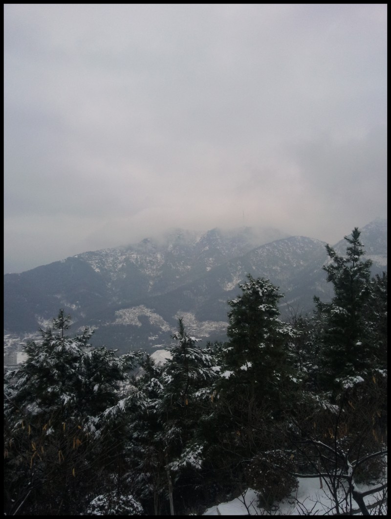 conew_照片480.jpg
