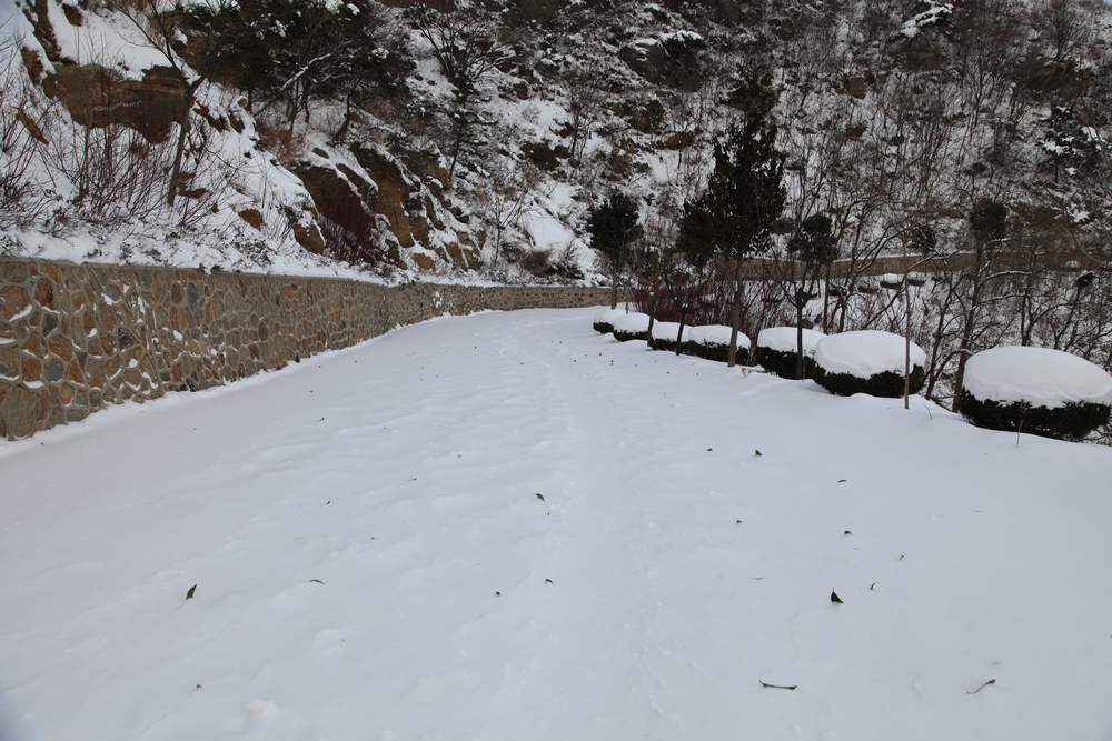 圣诞节南山踩雪 045.jpg
