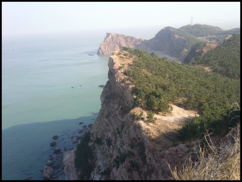 conew_照片389.jpg